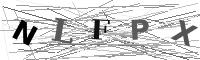 Please refresh your browser to see this image.